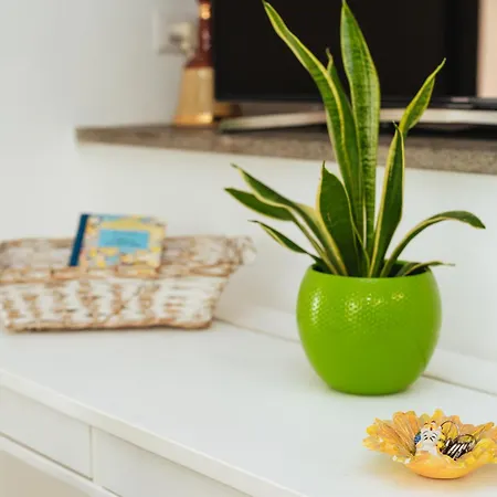 Prázdninový dům Residenza Il Moro *